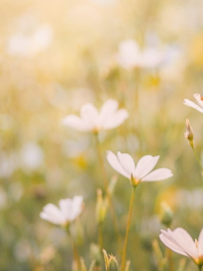 sfeerafbeelding van Psycholoog Haarlem